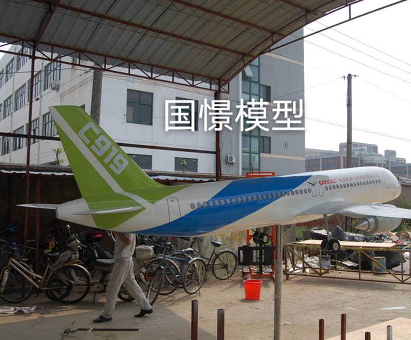 启东市飞机模型